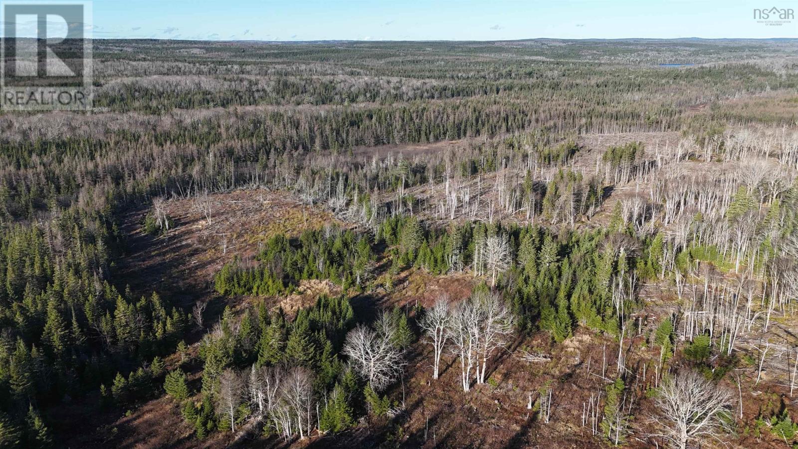 Salmon River Road, Enon, Nova Scotia  B1J 1X4 - Photo 23 - 202427992