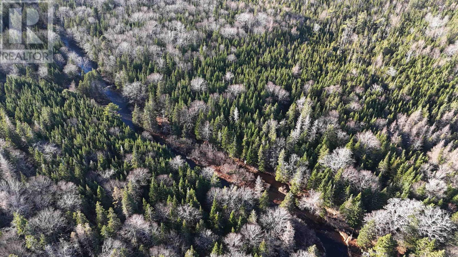 Salmon River Road, Enon, Nova Scotia  B1J 1X4 - Photo 6 - 202427992