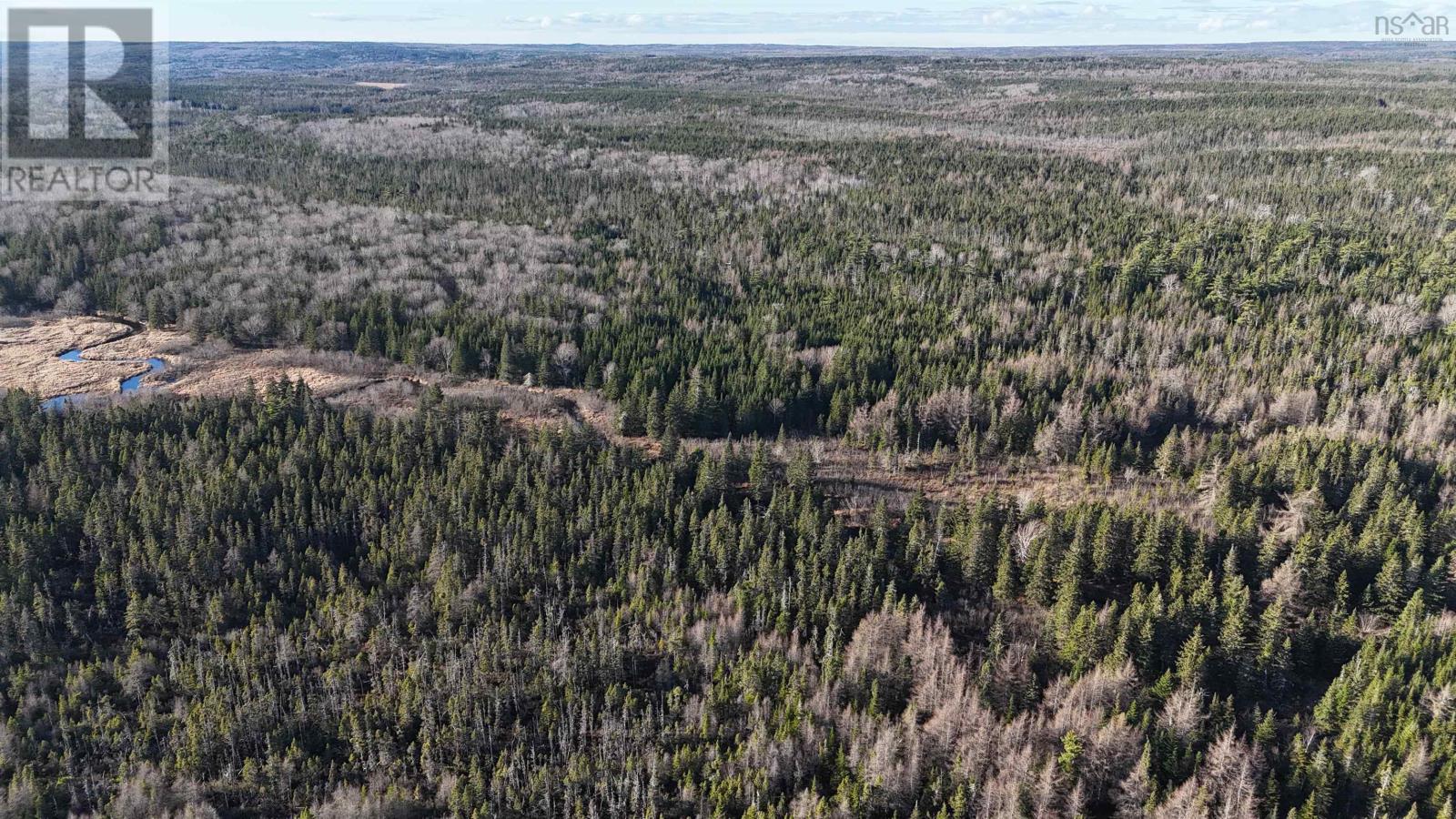 Salmon River Road, Enon, Nova Scotia  B1J 1X6 - Photo 10 - 202427993