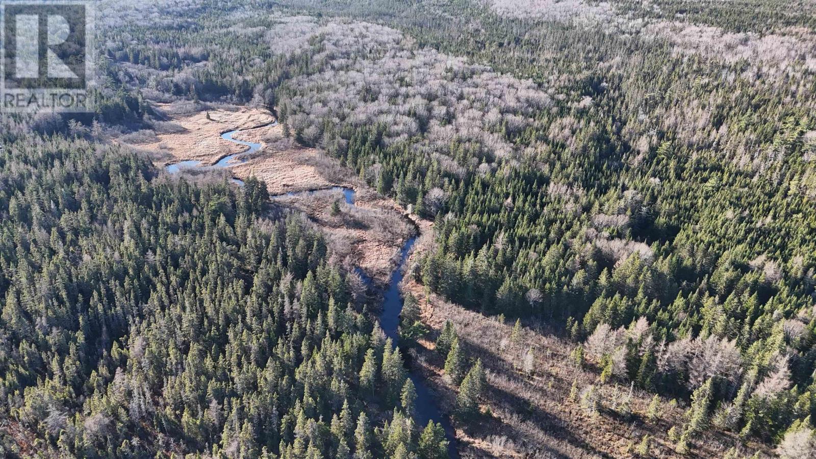 Salmon River Road, Enon, Nova Scotia  B1J 1X6 - Photo 12 - 202427993