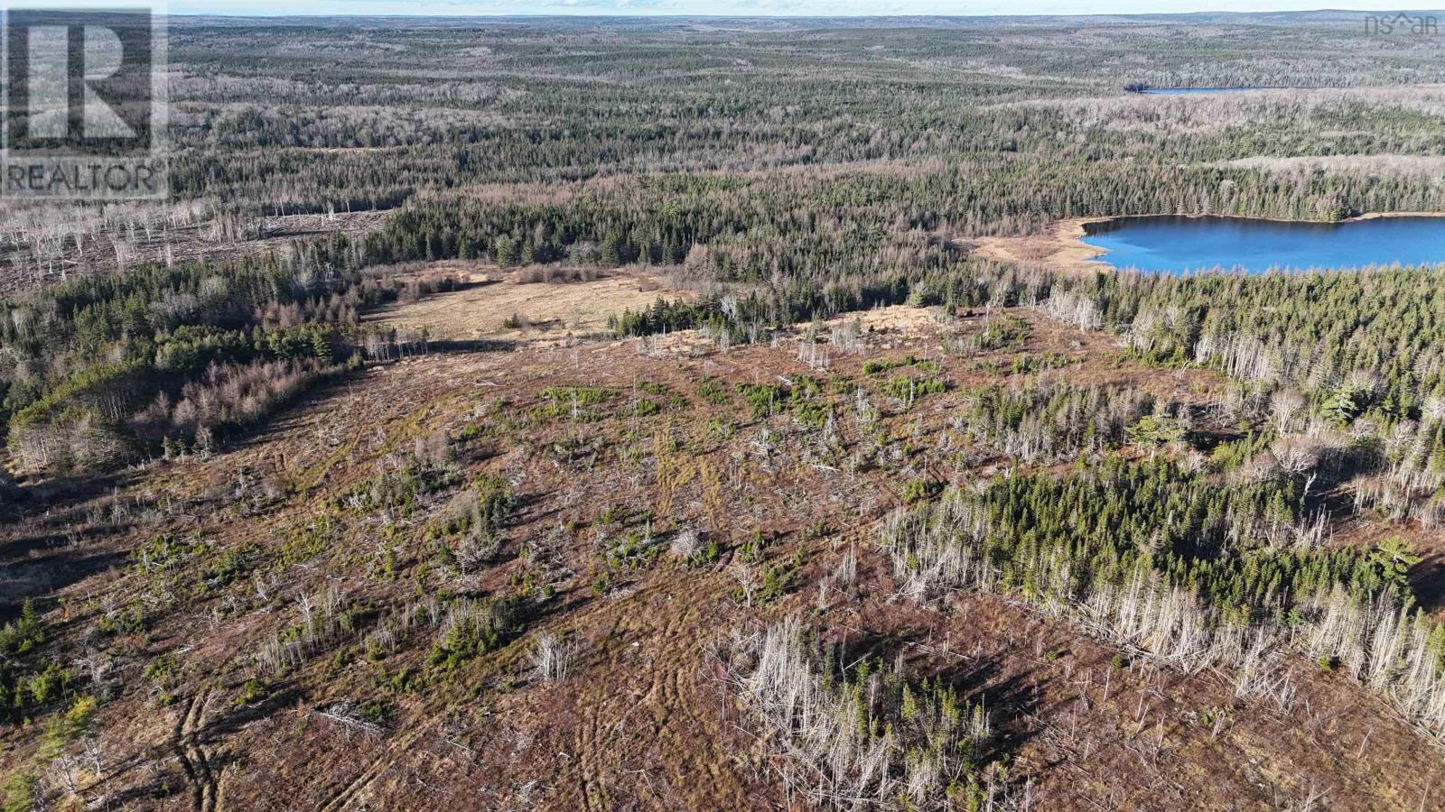 Salmon River Road, Enon, Nova Scotia  B1J 1X6 - Photo 26 - 202427993