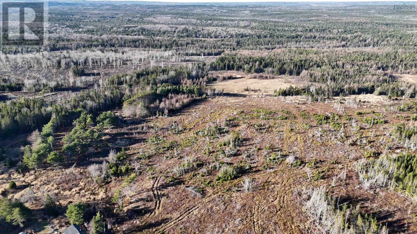 Salmon River Road, Enon, Nova Scotia  B1J 1X6 - Photo 27 - 202427993