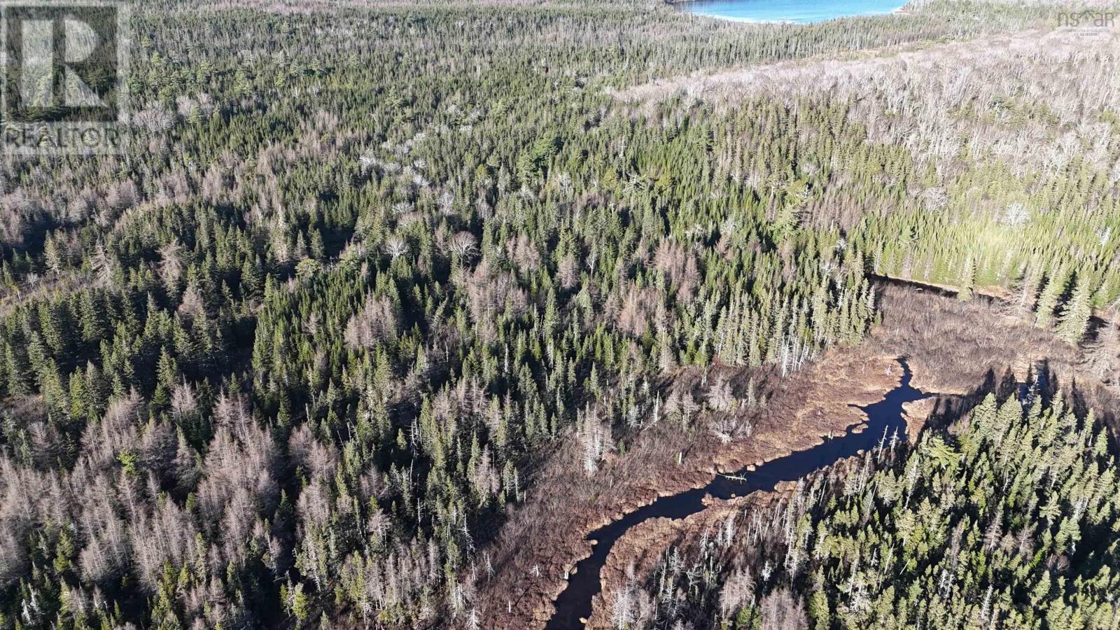 Salmon River Road, Enon, Nova Scotia  B1J 1X6 - Photo 3 - 202427993