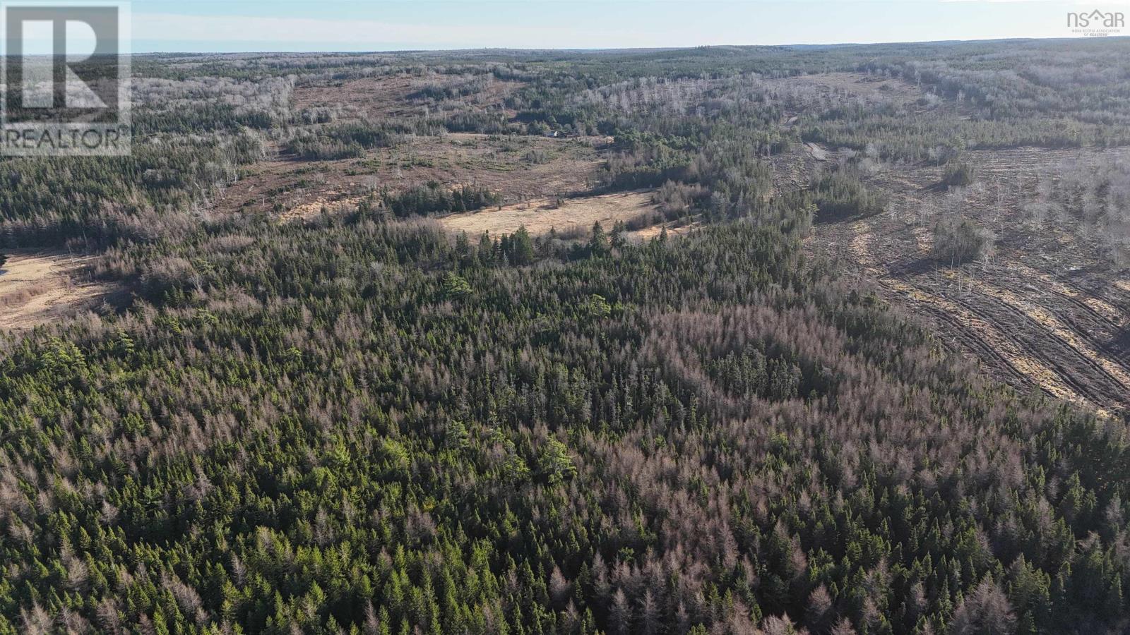 Salmon River Road, Enon, Nova Scotia  B1J 1X6 - Photo 4 - 202427993