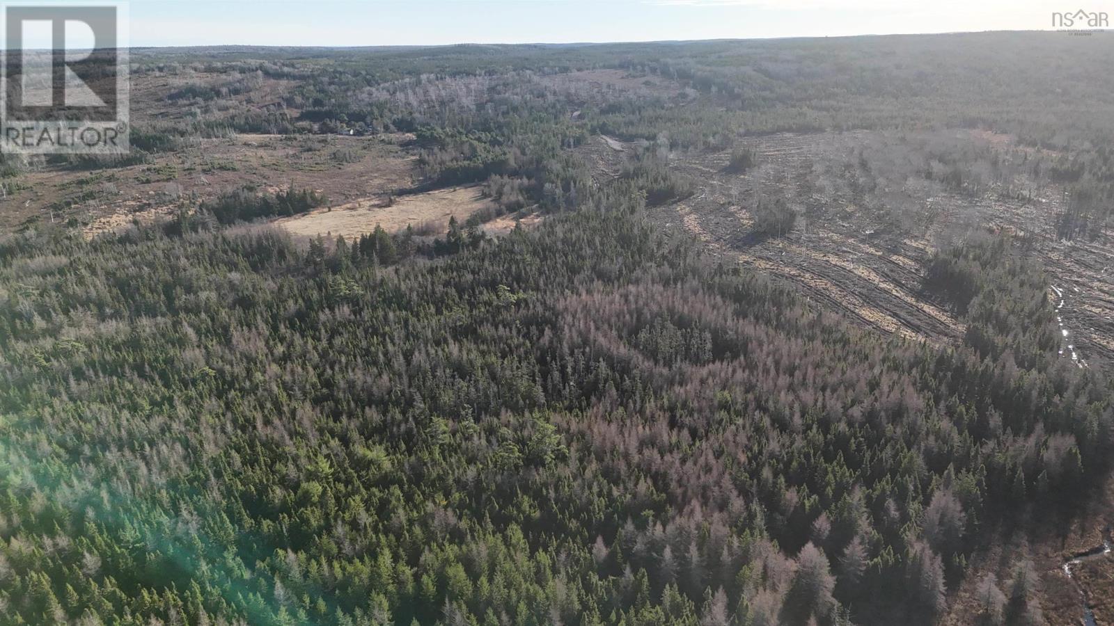 Salmon River Road, Enon, Nova Scotia  B1J 1X6 - Photo 5 - 202427993