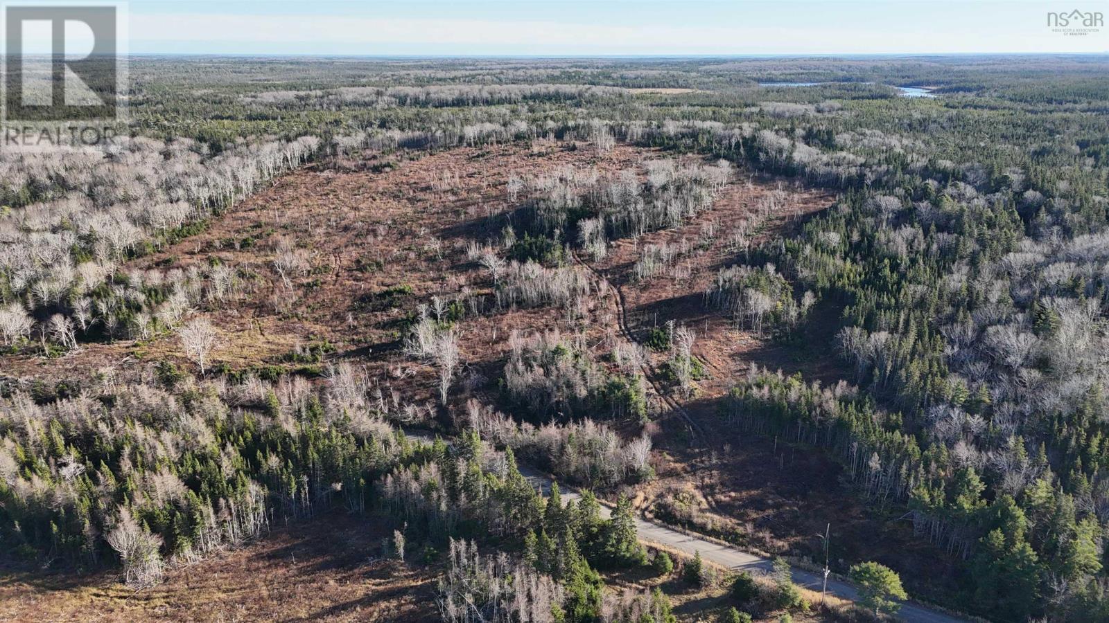 Salmon River Road, Enon, Nova Scotia  B1J 1X4 - Photo 3 - 202427994