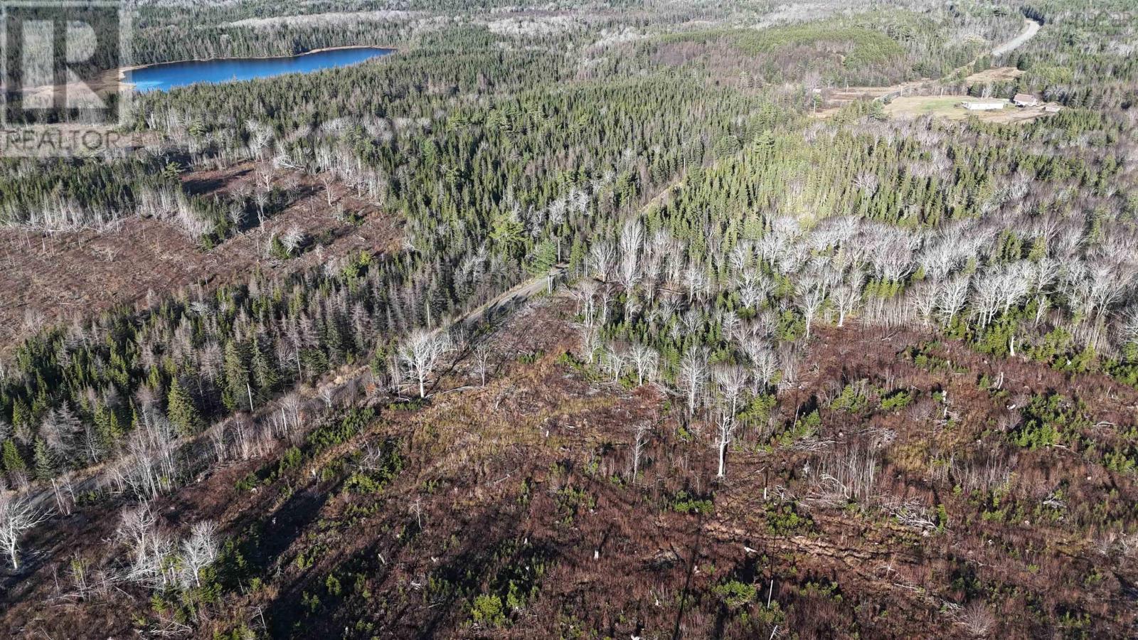 Salmon River Road, Enon, Nova Scotia  B1J 1X4 - Photo 7 - 202427994