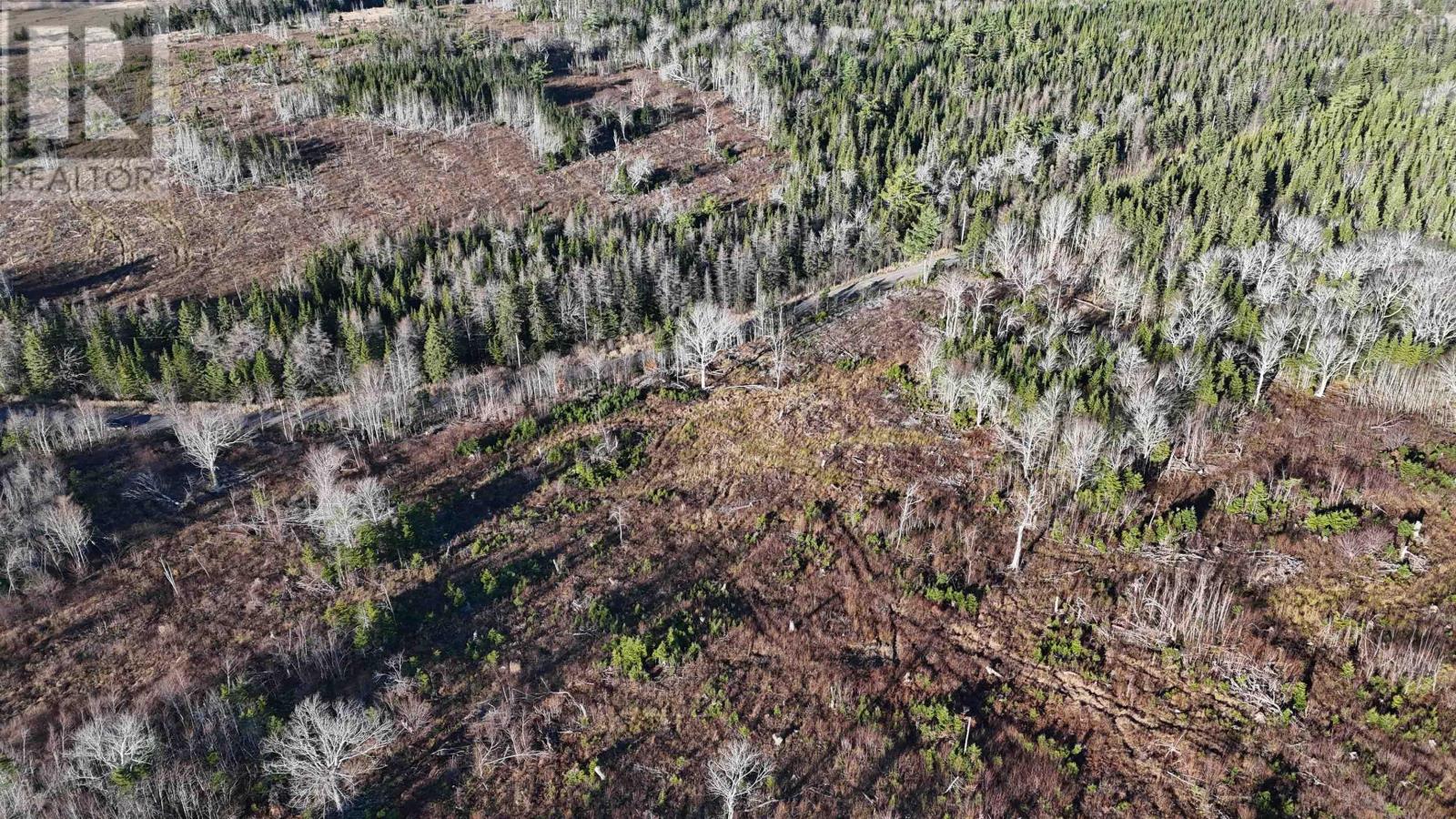 Salmon River Road, Enon, Nova Scotia  B1J 1X4 - Photo 8 - 202427994