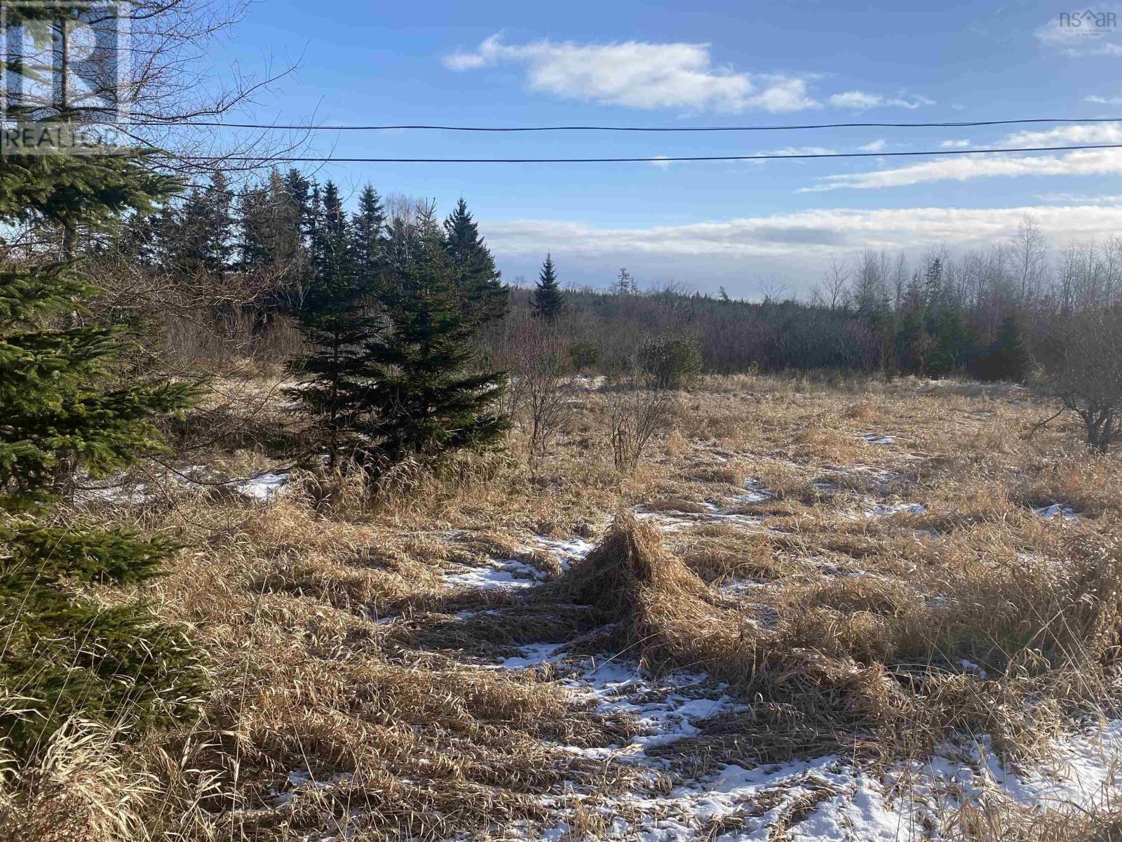 Lot Station Road, Londonderry Station, Nova Scotia  B0M 1G0 - Photo 6 - 202428031