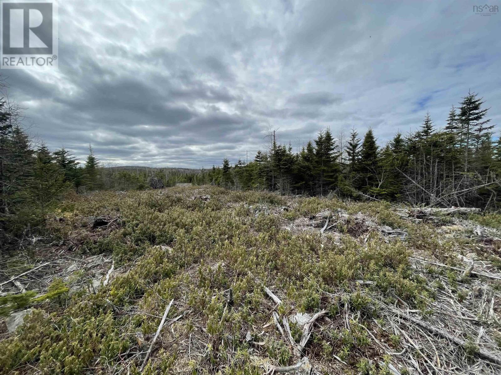 143 19 Lipkudamoonk Path, Clam Bay, Nova Scotia  B0J 1Y0 - Photo 3 - 202428060