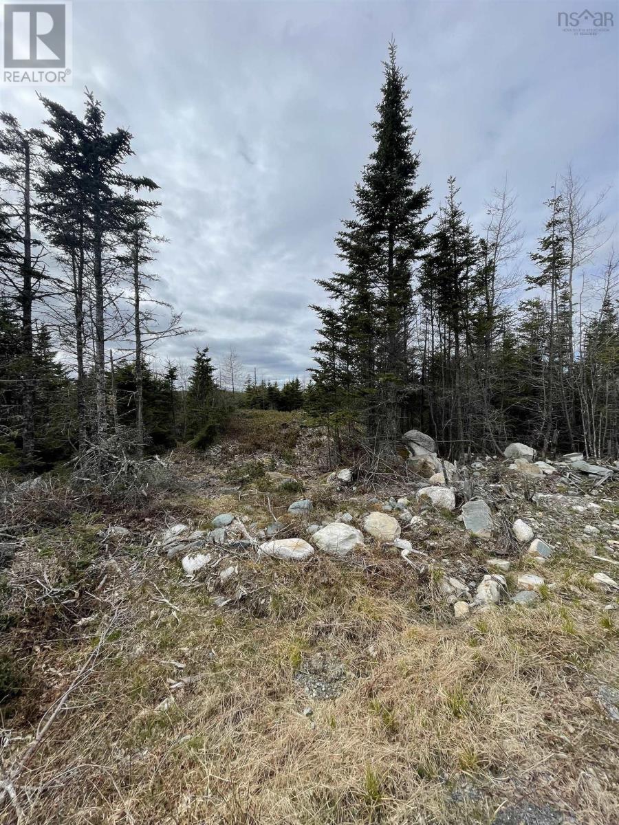 143 19 Lipkudamoonk Path, Clam Bay, Nova Scotia  B0J 1Y0 - Photo 5 - 202428060