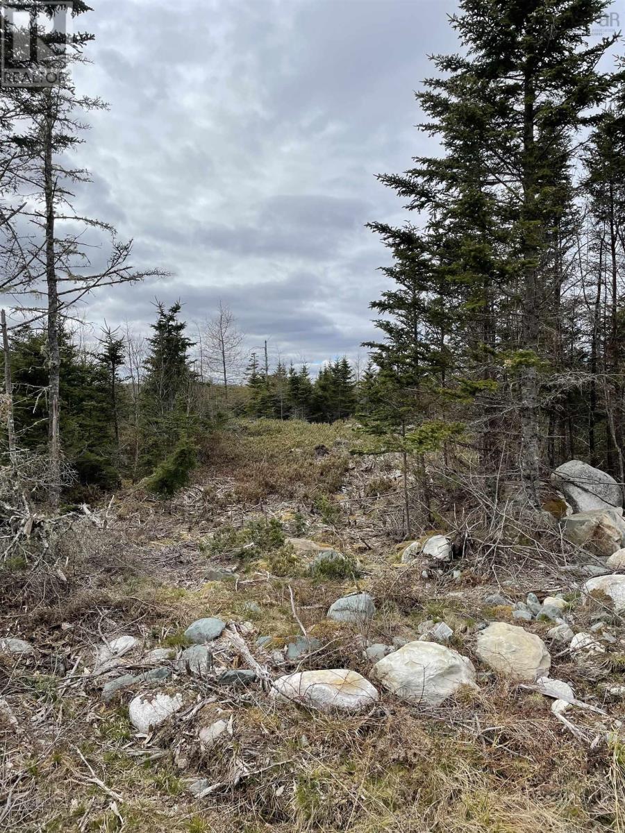 143 19 Lipkudamoonk Path, Clam Bay, Nova Scotia  B0J 1Y0 - Photo 6 - 202428060