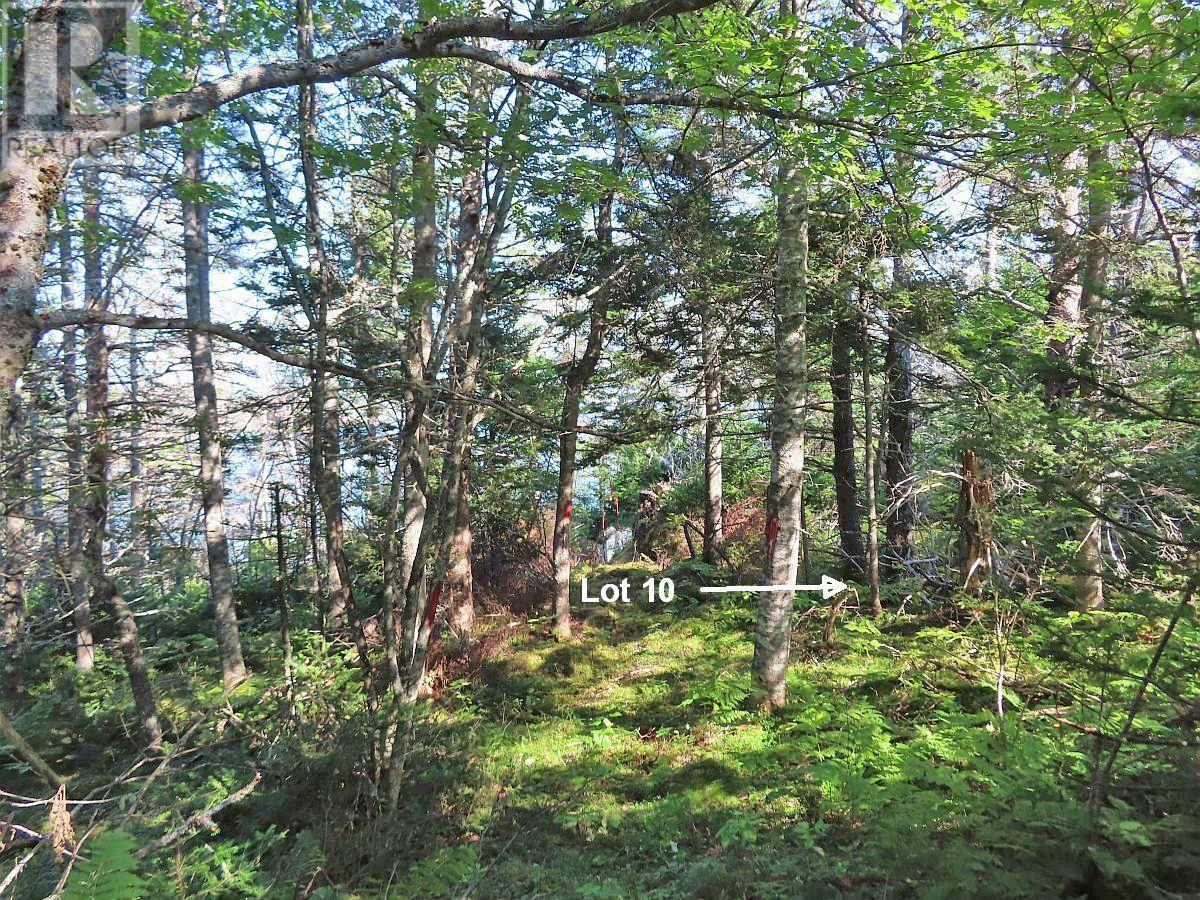 Lot 10 Hwy 316 (Grovers Point), Cole Harbour, Nova Scotia  B0H 1T0 - Photo 26 - 202428068