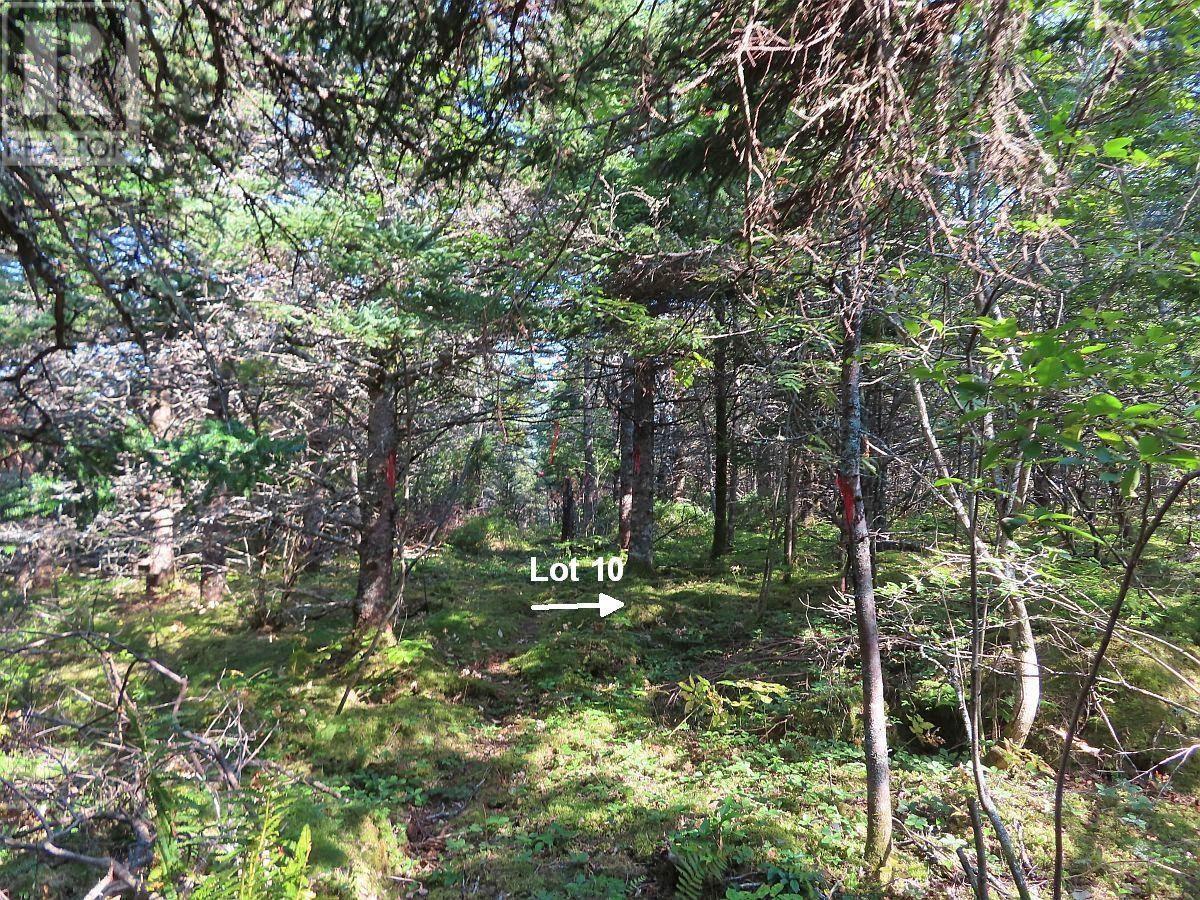 Lot 10 Hwy 316 (Grovers Point), Cole Harbour, Nova Scotia  B0H 1T0 - Photo 27 - 202428068