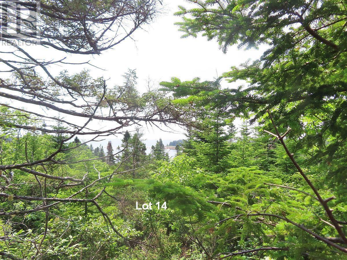 Lot 14 Hwy 316 (English Harbour), Cole Harbour, Nova Scotia  B0H 1T0 - Photo 19 - 202428069