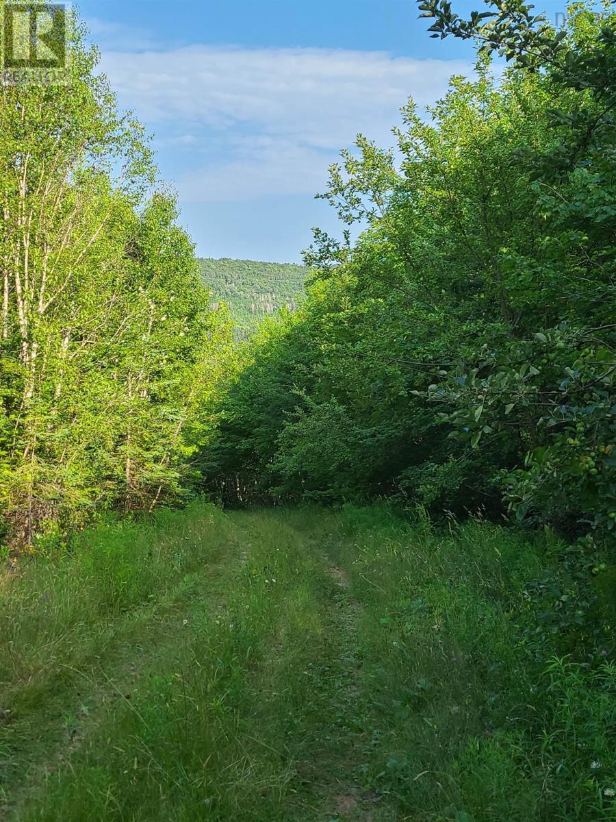 Lot 1 Lakeview Drive, Scotsville, Nova Scotia  B0E 3M0 - Photo 7 - 202428084