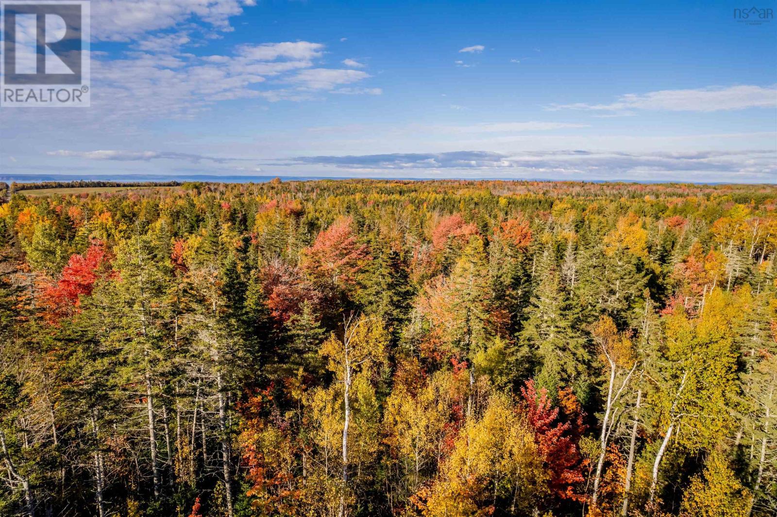 Lot 11 Huntington Point Road, Mountain Front, Nova Scotia  B0P 1J0 - Photo 4 - 202428167