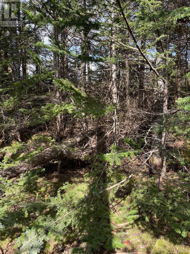 Lot 1 Porters Lake Station Road, Porters Lake, Nova Scotia  B3E 1J9 - Photo 6 - 202428191