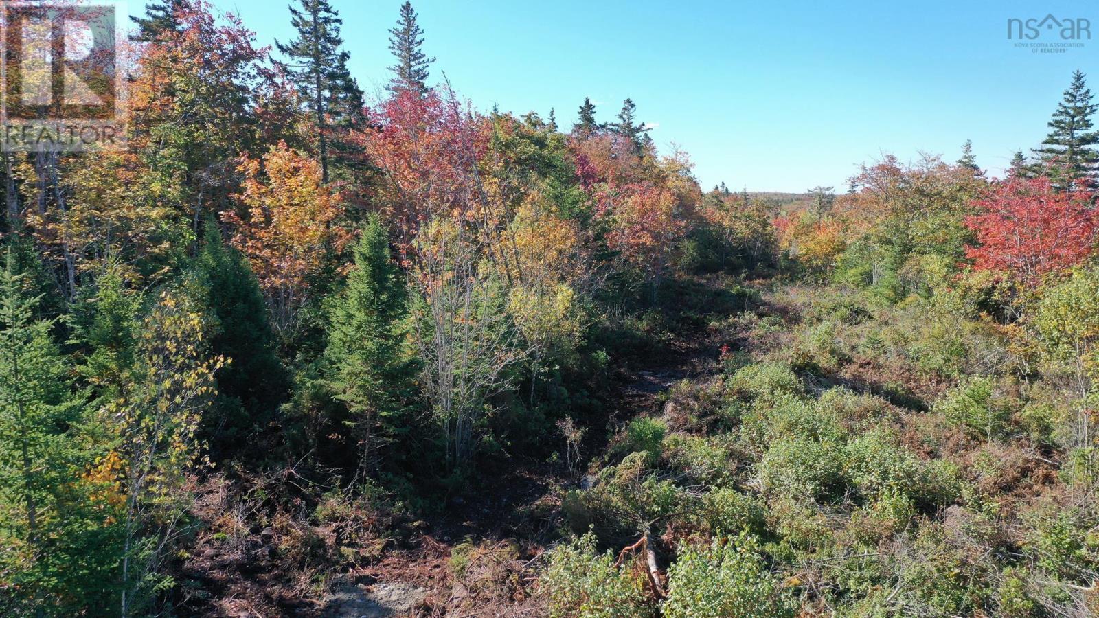 Lot 14 Golden Horizon Road, South West Port Mouton, Nova Scotia  B0T 1T0 - Photo 8 - 202428206