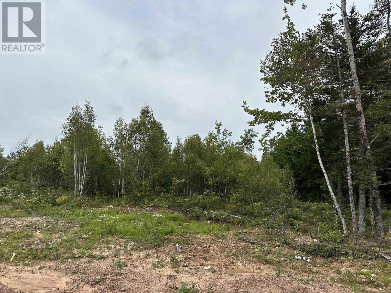 Lot 24 Deep Wood Drive, West St Andrews, Nova Scotia  B0N 2J0 - Photo 2 - 202428215