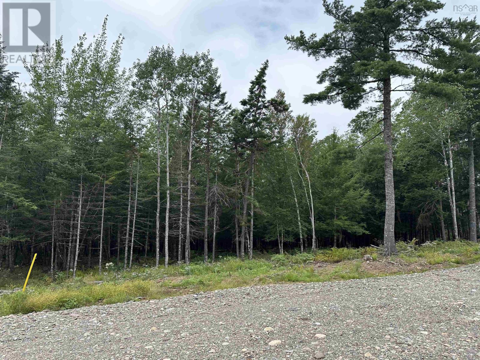 Lot 24 Deep Wood Drive, West St Andrews, Nova Scotia  B0N 2J0 - Photo 5 - 202428215