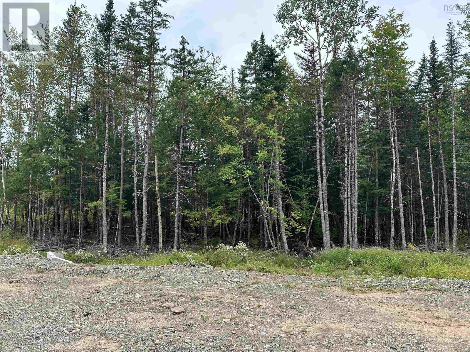 Lot 24 Deep Wood Drive, West St Andrews, Nova Scotia  B0N 2J0 - Photo 7 - 202428215