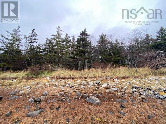 Lot N-1 Port Latour Road, Reynoldscroft, Nova Scotia  B0W 1E0 - Photo 2 - 202428226