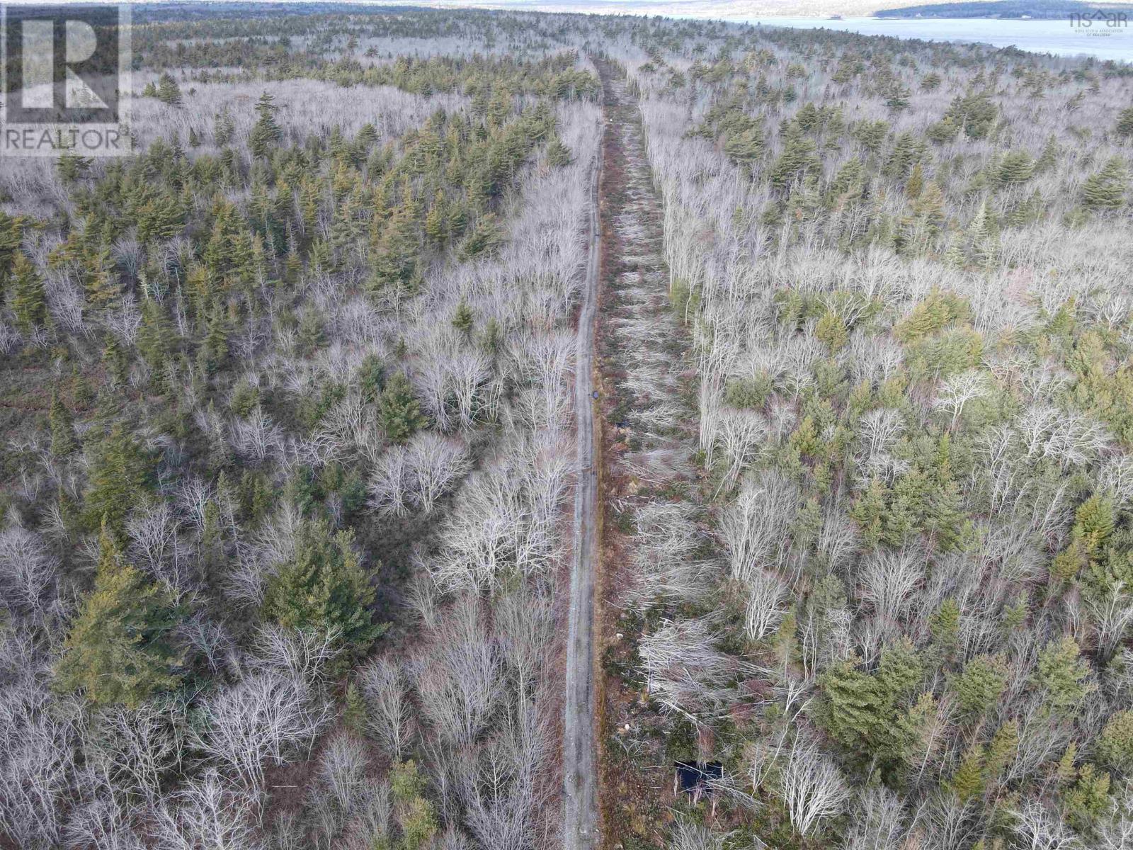 Shore Road, Churchover, Nova Scotia  B0T 1W0 - Photo 27 - 202428232