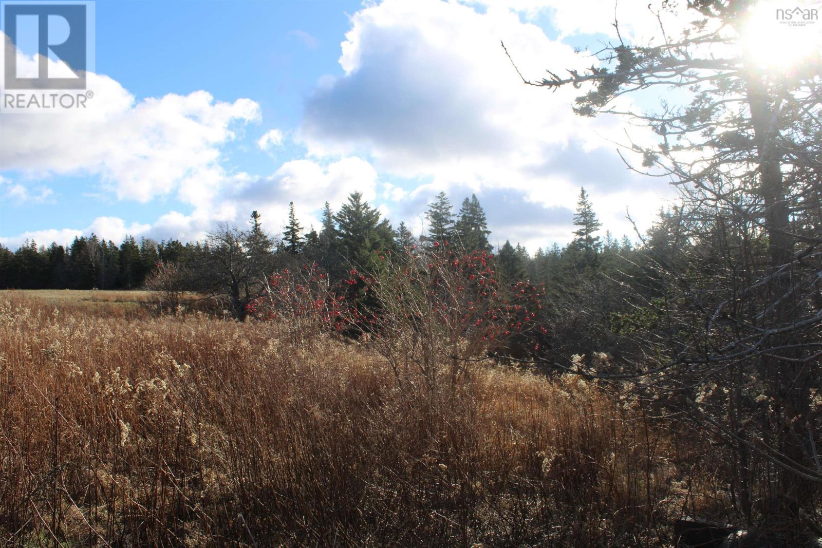 9230 St Croix Cove Road, St. Croix, Nova Scotia  B0S 1L0 - Photo 24 - 202428243