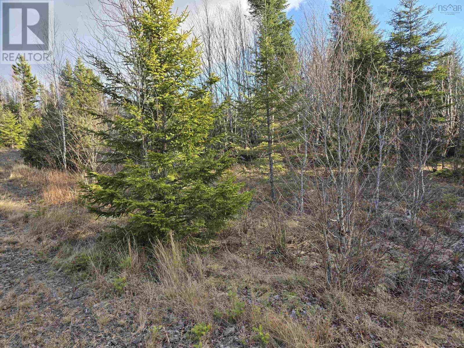 Lot Pembroke Road, Riversdale, Nova Scotia  B6L 2M5 - Photo 2 - 202428347