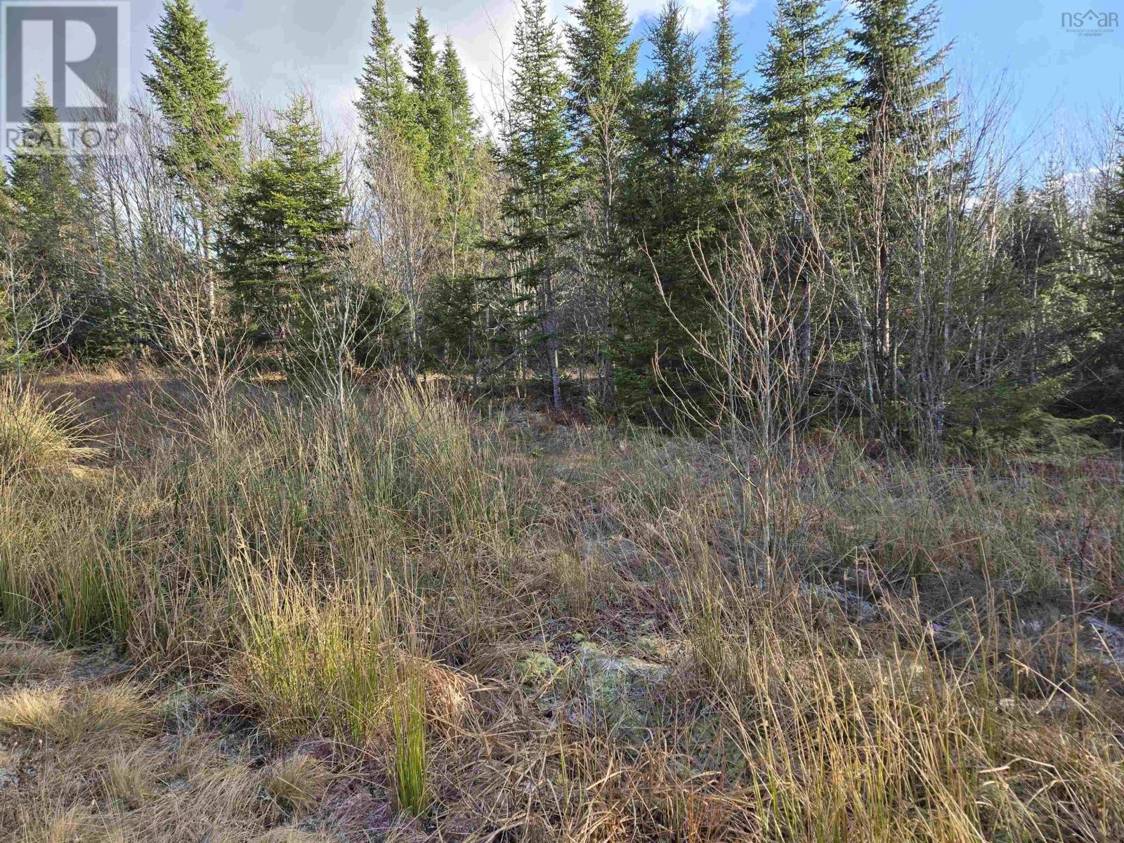 Lot Pembroke Road, Riversdale, Nova Scotia  B6L 2M5 - Photo 3 - 202428347