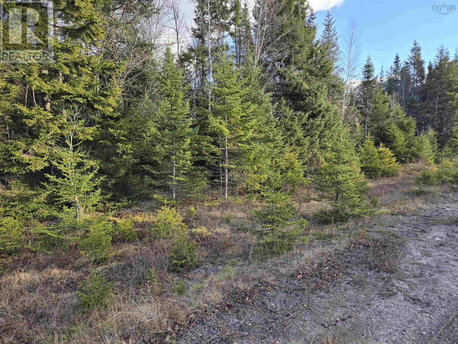 Lot Pembroke Road, Riversdale, Nova Scotia  B6L 2M5 - Photo 5 - 202428347