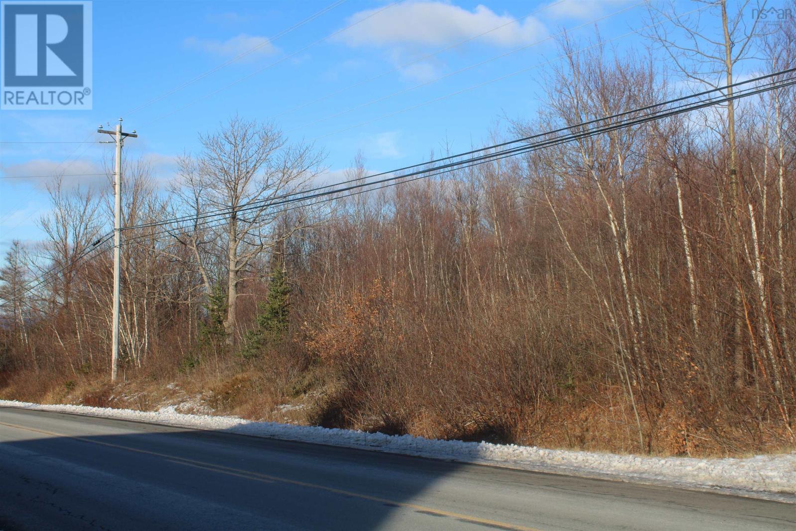 Lot Parker Mountain Road, Parkers Cove, Nova Scotia  B0S 1A0 - Photo 11 - 202428371