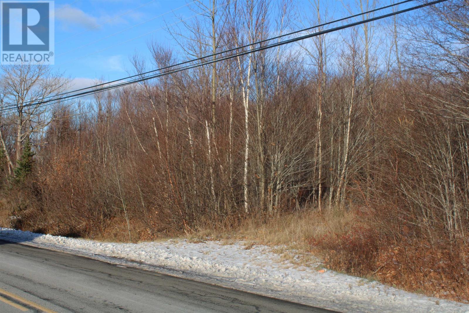 Lot Parker Mountain Road, Parkers Cove, Nova Scotia  B0S 1A0 - Photo 2 - 202428371