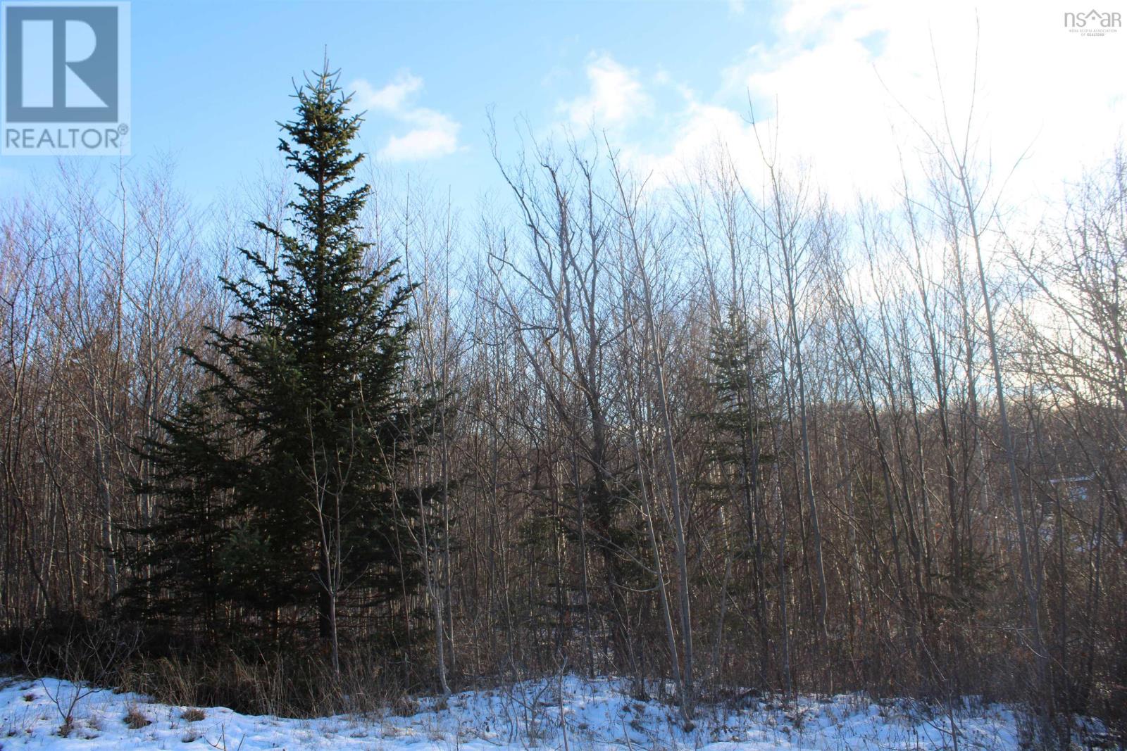 Lot Parker Mountain Road, Parkers Cove, Nova Scotia  B0S 1A0 - Photo 3 - 202428371