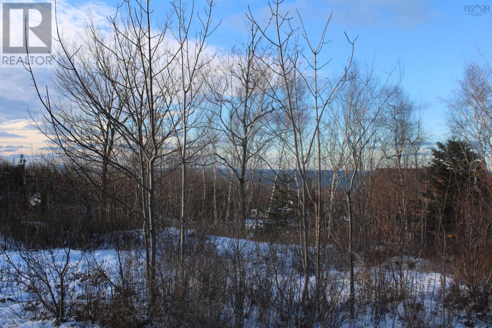 Lot Parker Mountain Road, Parkers Cove, Nova Scotia  B0S 1A0 - Photo 4 - 202428371