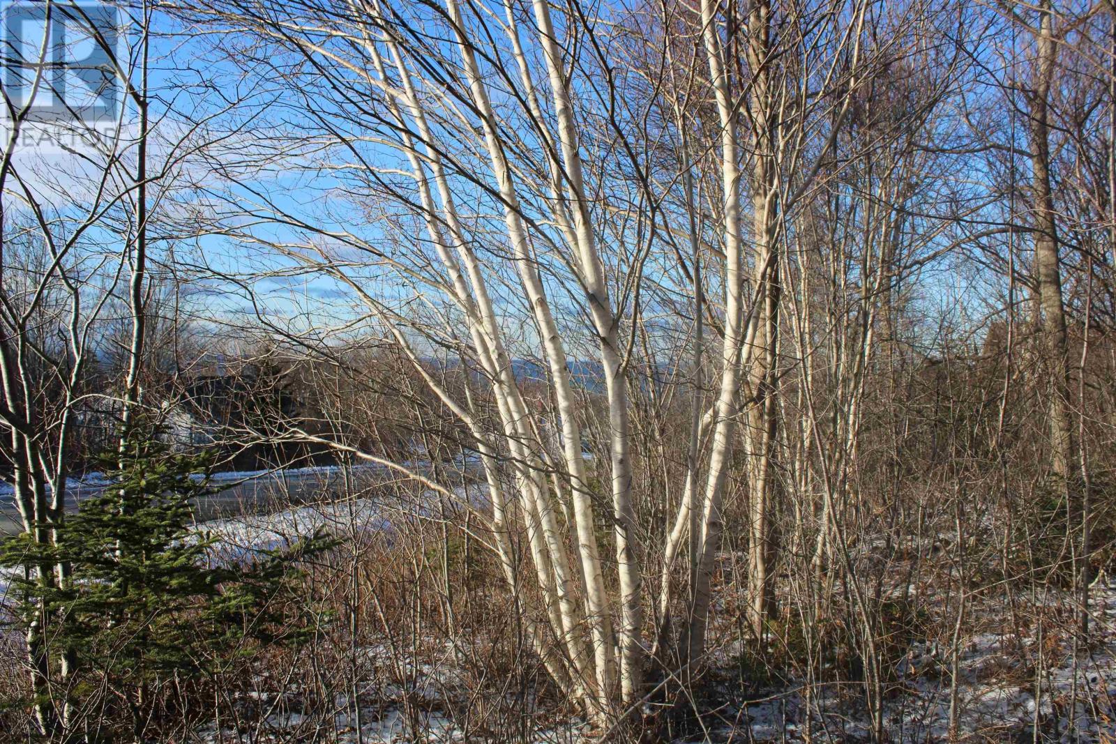 Lot Parker Mountain Road, Parkers Cove, Nova Scotia  B0S 1A0 - Photo 6 - 202428371