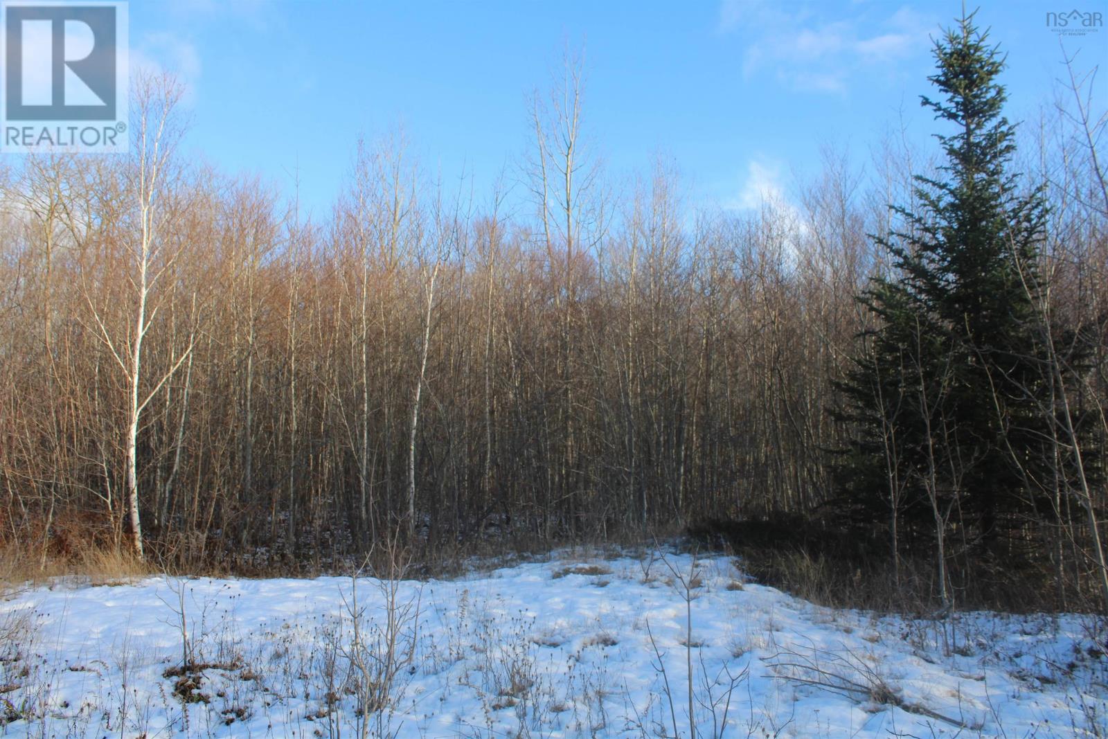 Lot Parker Mountain Road, Parkers Cove, Nova Scotia  B0S 1A0 - Photo 8 - 202428371