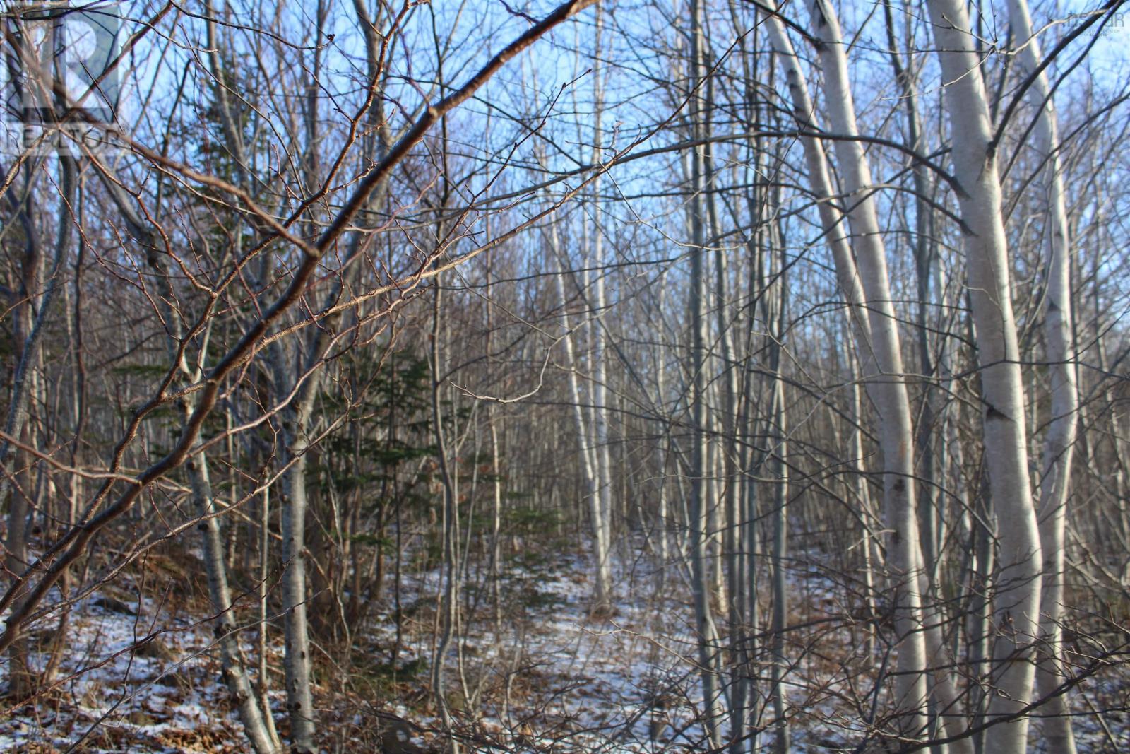 Lot Parker Mountain Road, Parkers Cove, Nova Scotia  B0S 1A0 - Photo 9 - 202428371