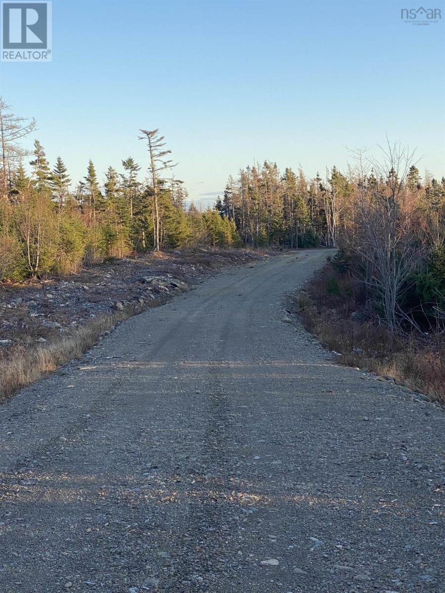 Port Morien Drive, Round Island, Nova Scotia  B1B 1C1 - Photo 8 - 202428391