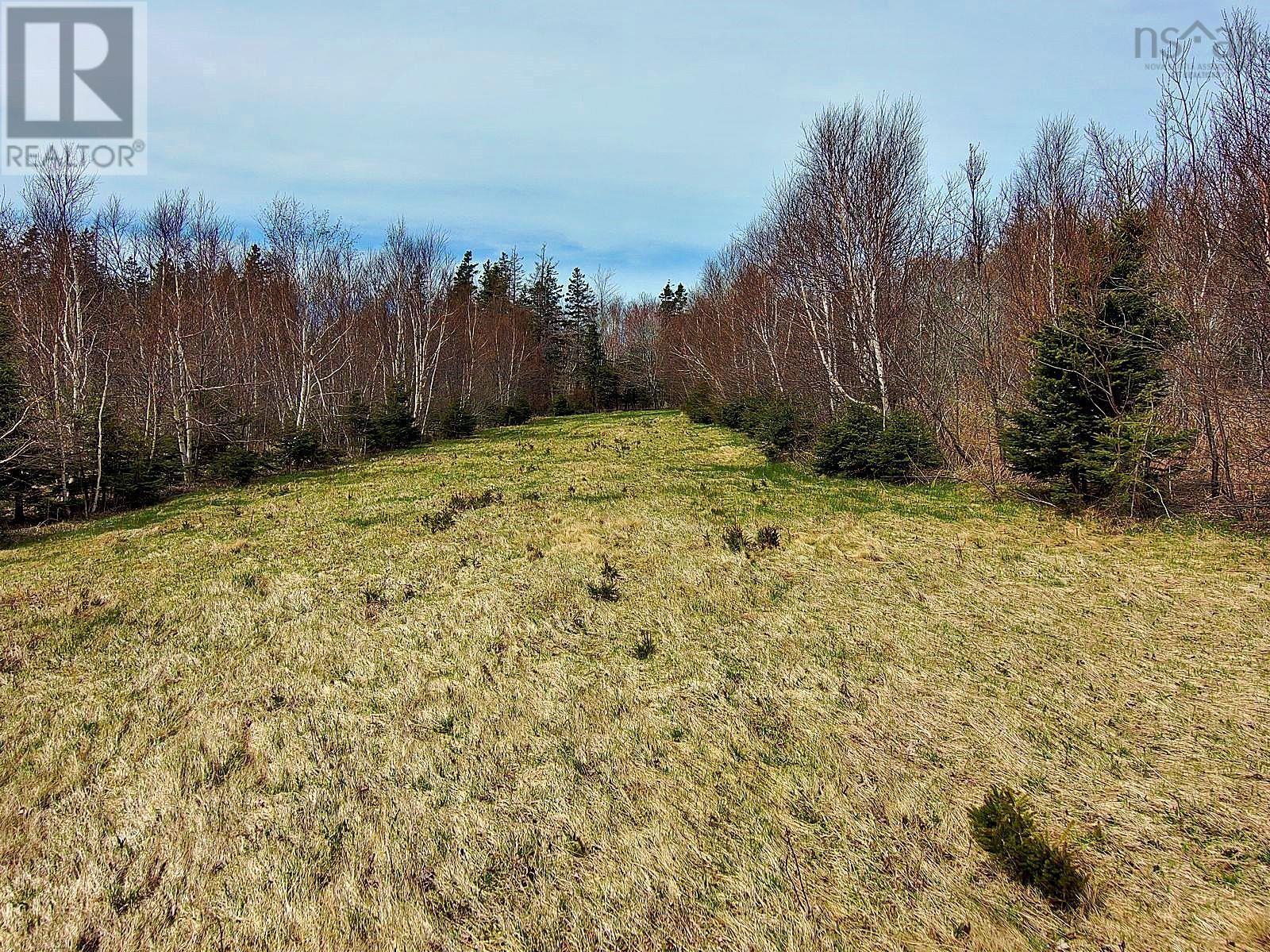 Broad Cove Marsh Road, Broad Cove Chapel, Nova Scotia  B0E 1N0 - Photo 10 - 202428452