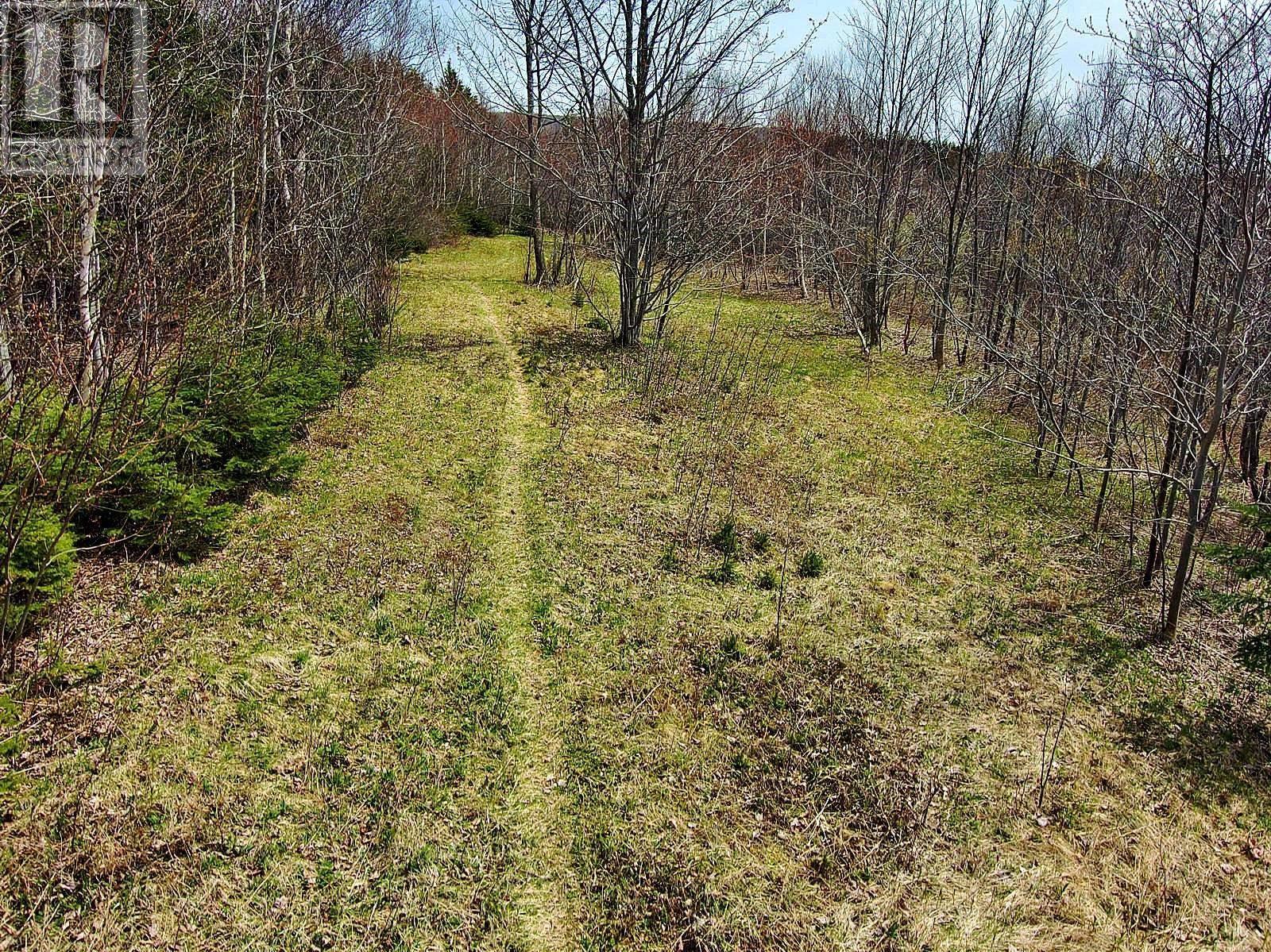 Broad Cove Marsh Road, Broad Cove Chapel, Nova Scotia  B0E 1N0 - Photo 14 - 202428452