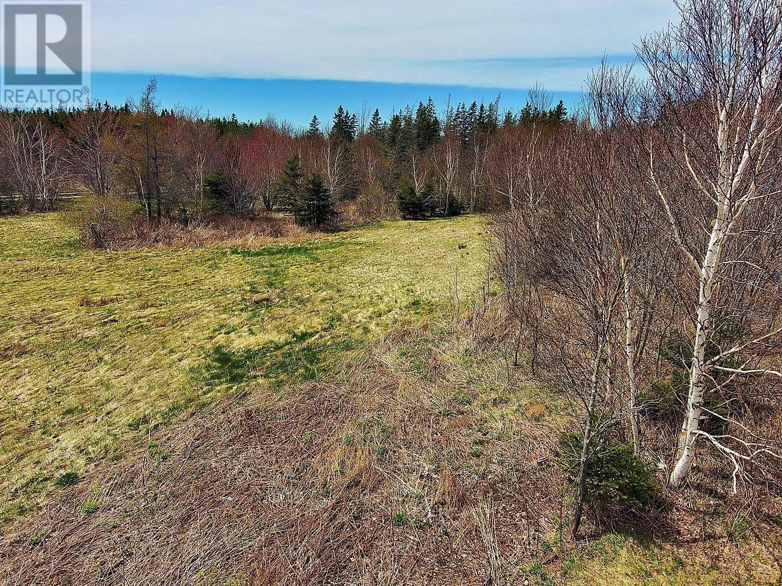 Broad Cove Marsh Road, Broad Cove Chapel, Nova Scotia  B0E 1N0 - Photo 17 - 202428452