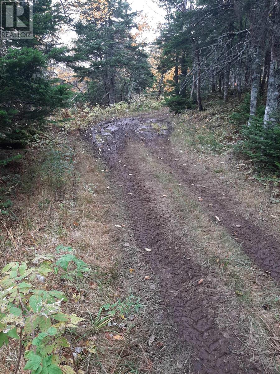 Tower Road, Chéticamp, Nova Scotia  B0E 1H0 - Photo 11 - 202428569