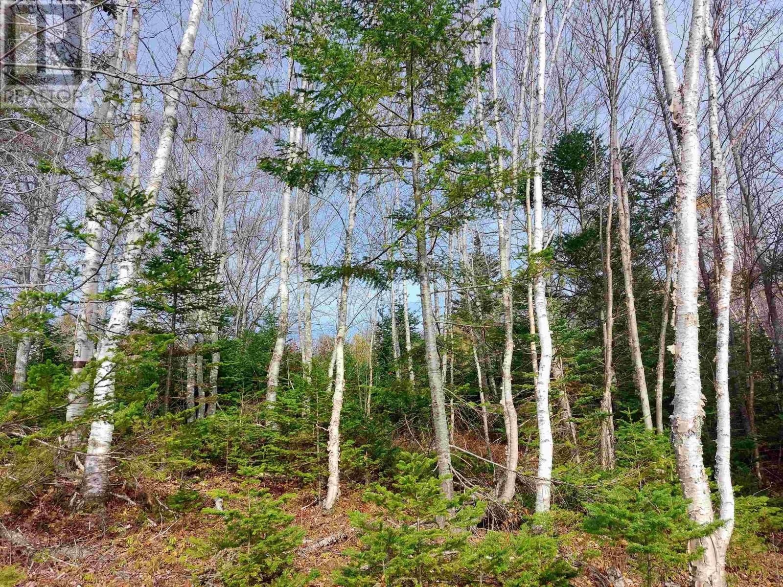 Lot 3 Tranquil Shore Road, West Bay, Nova Scotia  B0E 1V0 - Photo 3 - 202500011