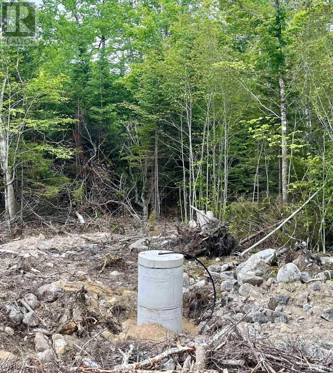 Lot 49 Turner Point, Walden, Nova Scotia  B0J 2E0 - Photo 6 - 202500197