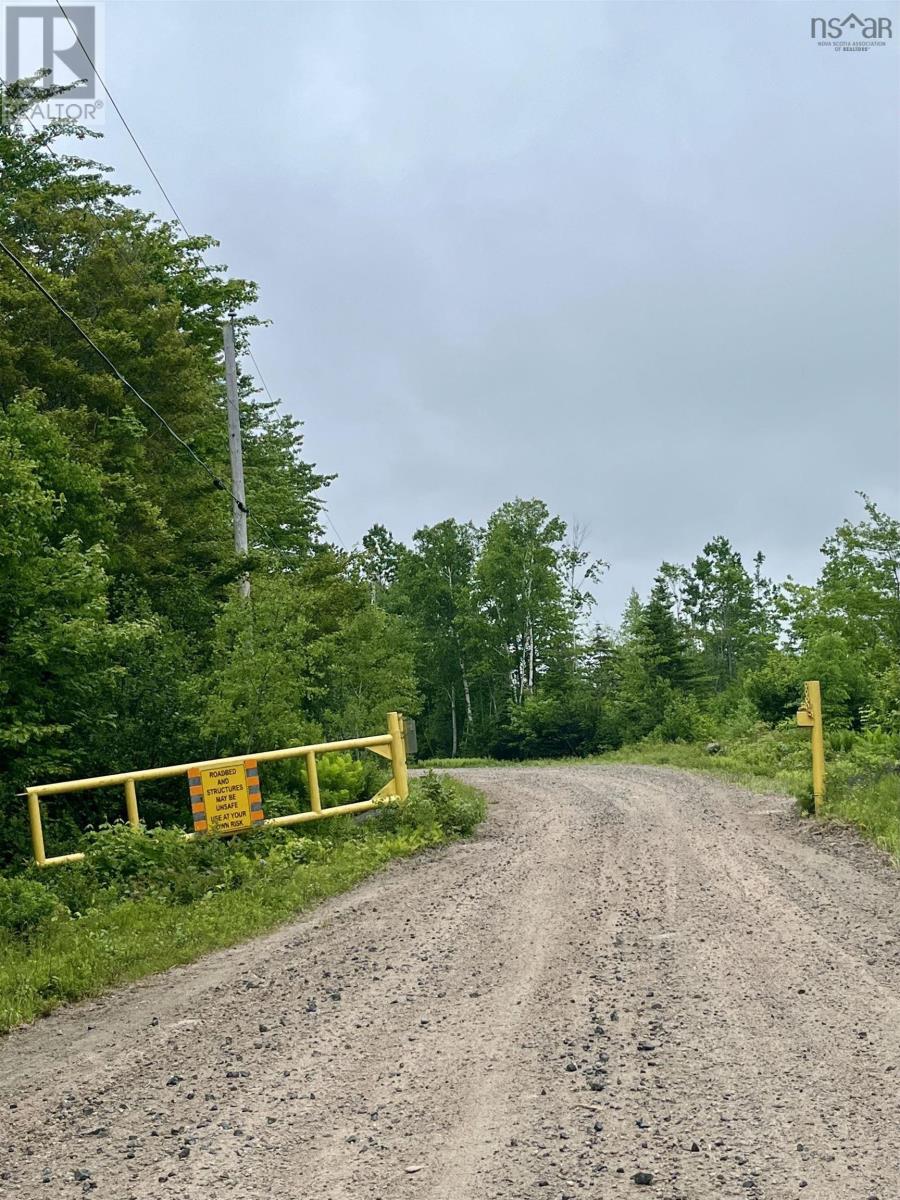 Lot 49 Turner Point, Walden, Nova Scotia  B0J 2E0 - Photo 8 - 202500197