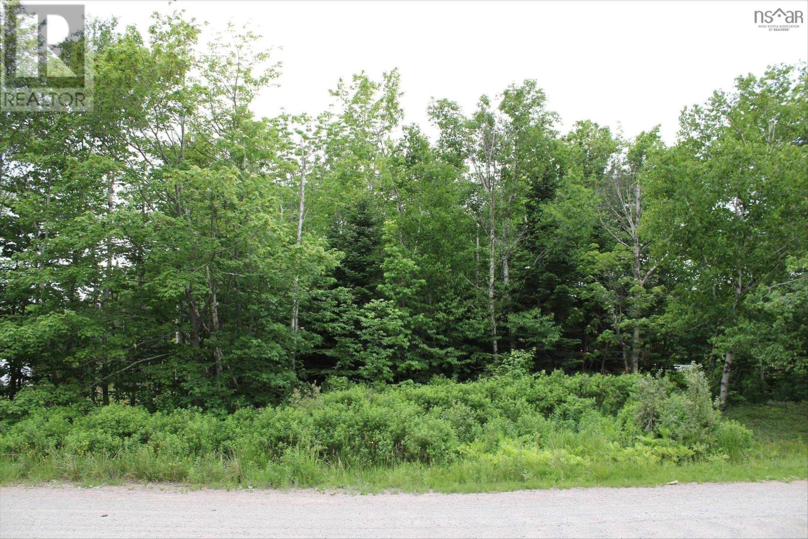 Lot Crandall Road, Port Hawkesbury, Nova Scotia  B9A 3G2 - Photo 3 - 202500231