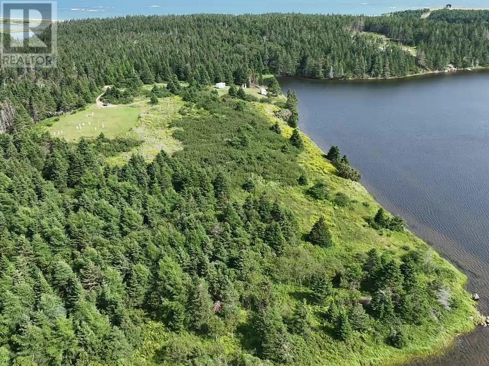 Crooked Lake Road, framboise, Nova Scotia