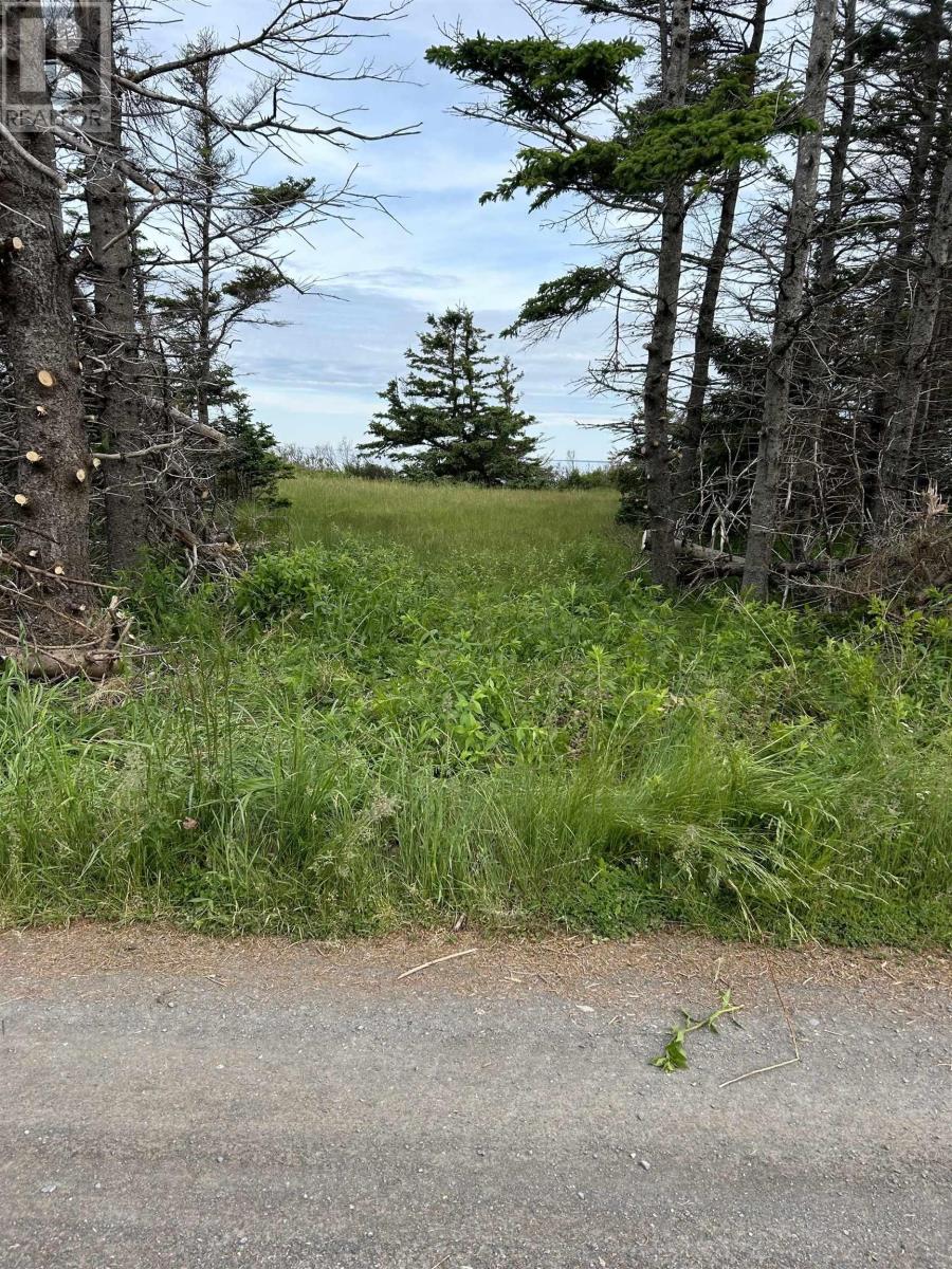 Lot Roys Island, Kings Head, Nova Scotia  B2H 5C5 - Photo 4 - 202500273